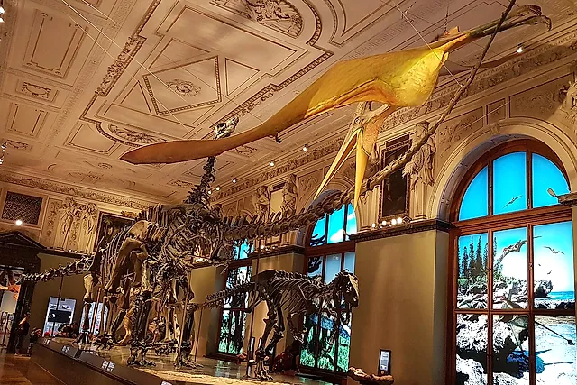 The dinosaur hall of the Naturhistorisches Museum, with skeletons in warm light